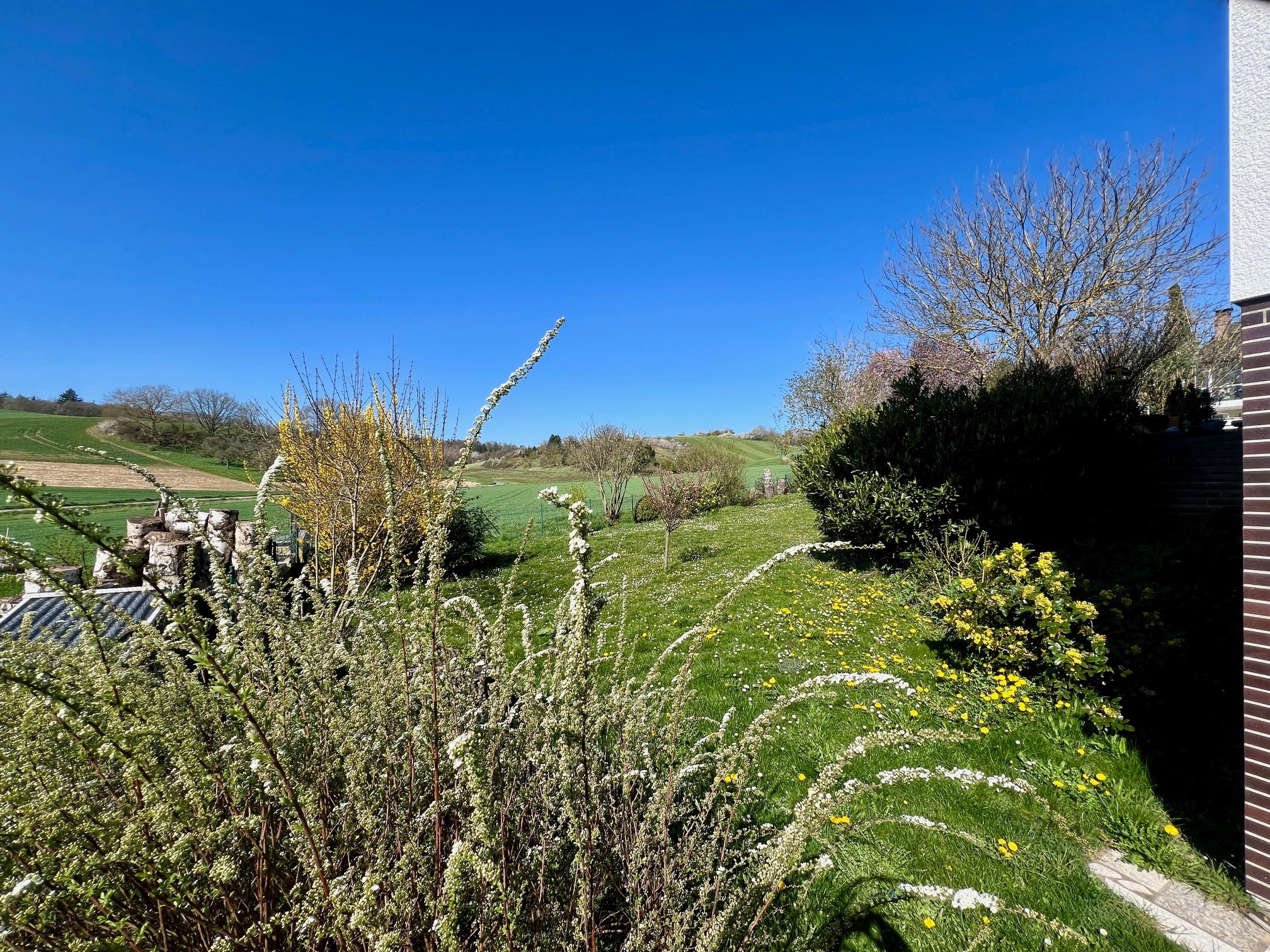 Natur pur - Weitblick inklusive! Großzügiges Wohnen in herrlicher Ortsrandlage mit Blick ins Grüne! bei Degenhardt Immobilien
